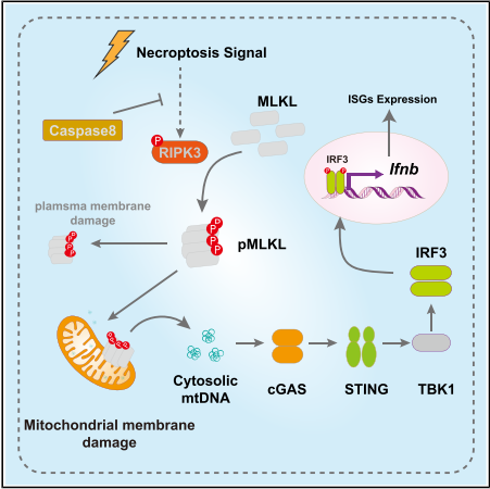 6390052934595365063260691