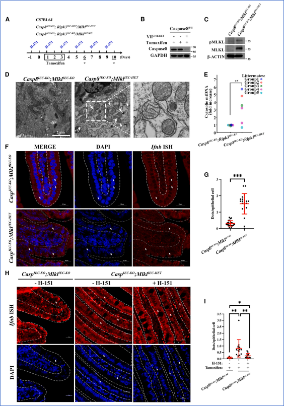 6390052933575047377030617