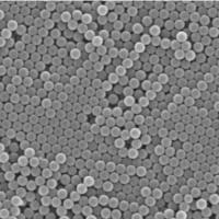 PE微球纳米颗粒