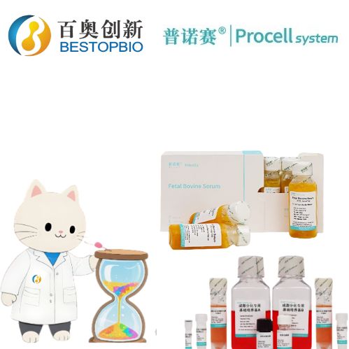 普诺赛人骨髓树突状细胞(DC细胞)完全培养基