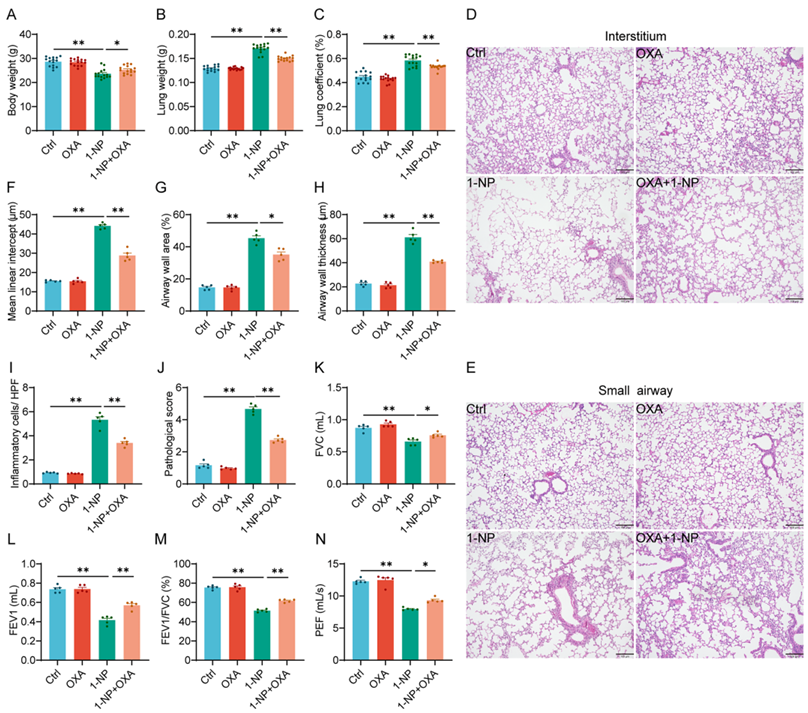 6390044222924424649480265