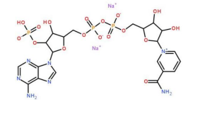 氧化型辅酶Ⅱ(NADP)