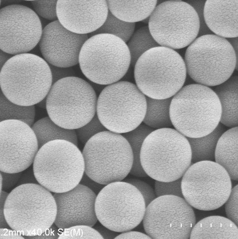 PVA微球 聚乙烯醇微球