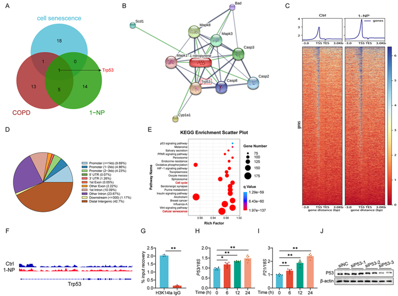 6390044212867159544189433