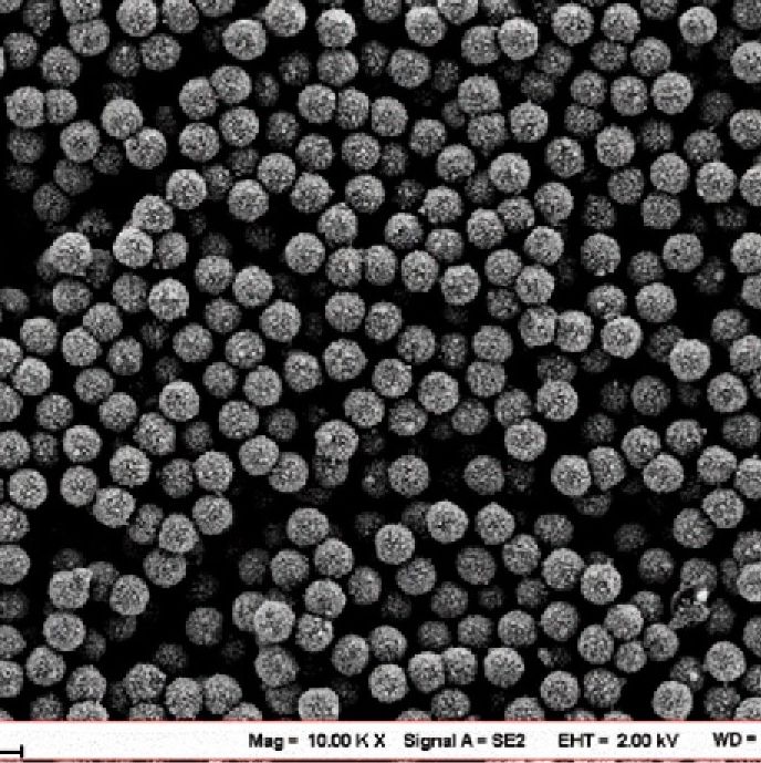 Streptavidin SA磁珠 链霉亲和素磁珠 5ml