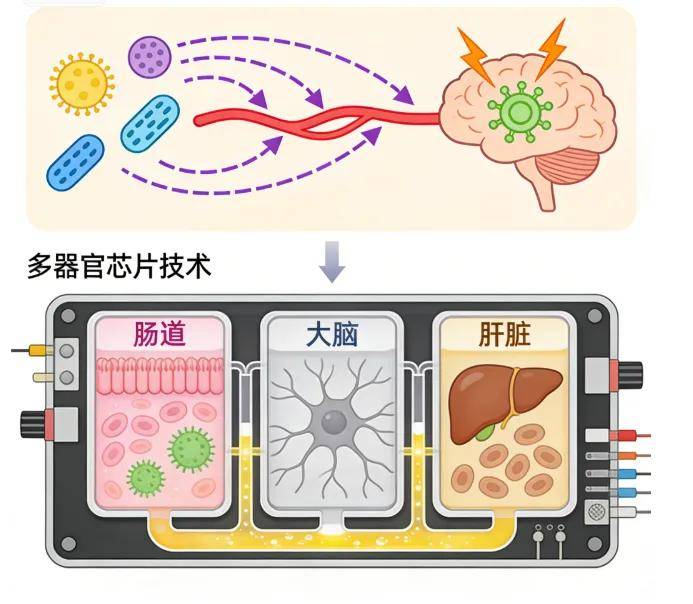 技术资料图片2