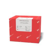 人乳腺癌21基因表达检测试剂盒(荧光PCR法)