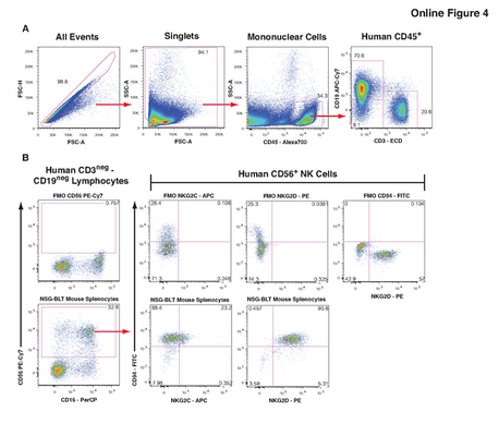 OMIP-012：9色Panel对人源化小鼠的精准解析与定量评估