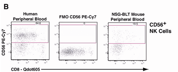OMIP-012：9色Panel对人源化小鼠的精准解析与定量评估