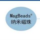 细胞分选磁珠