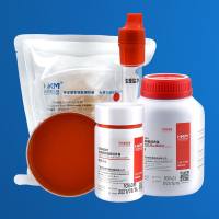 四号琼脂平板(选择性分离培养基)