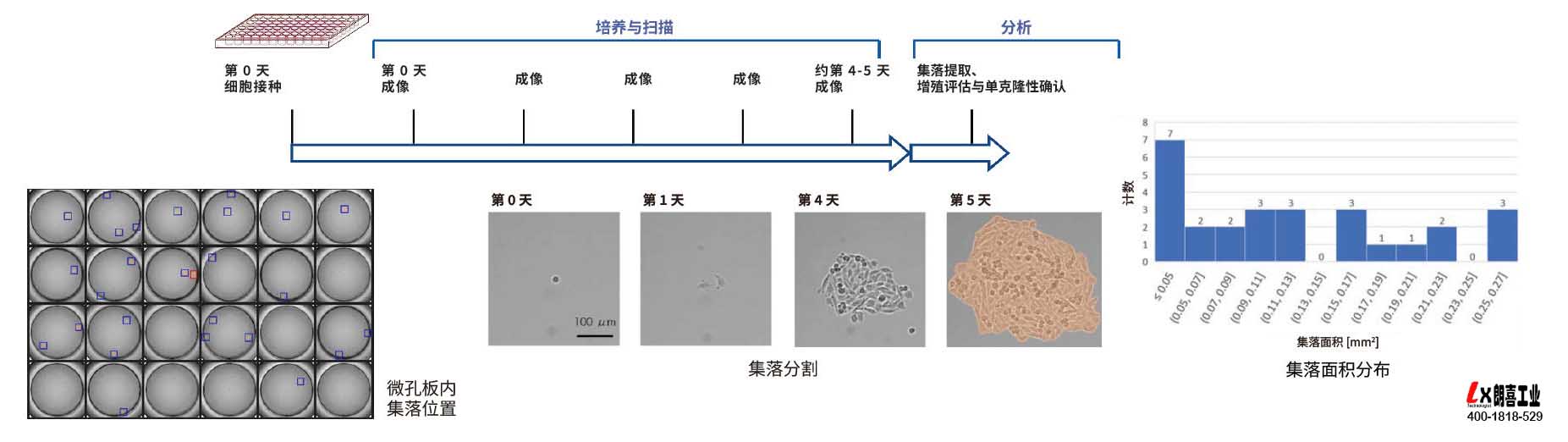 新闻图片7