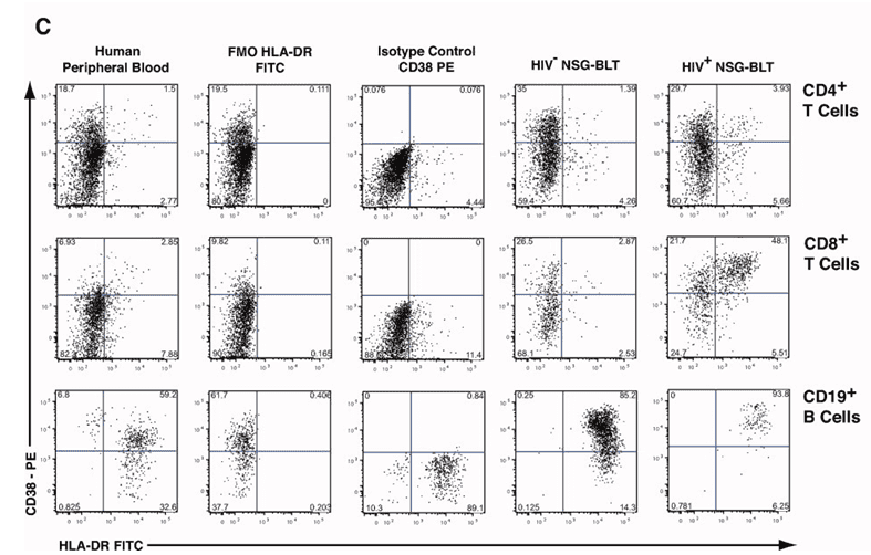 OMIP-012：9色Panel对人源化小鼠的精准解析与定量评估