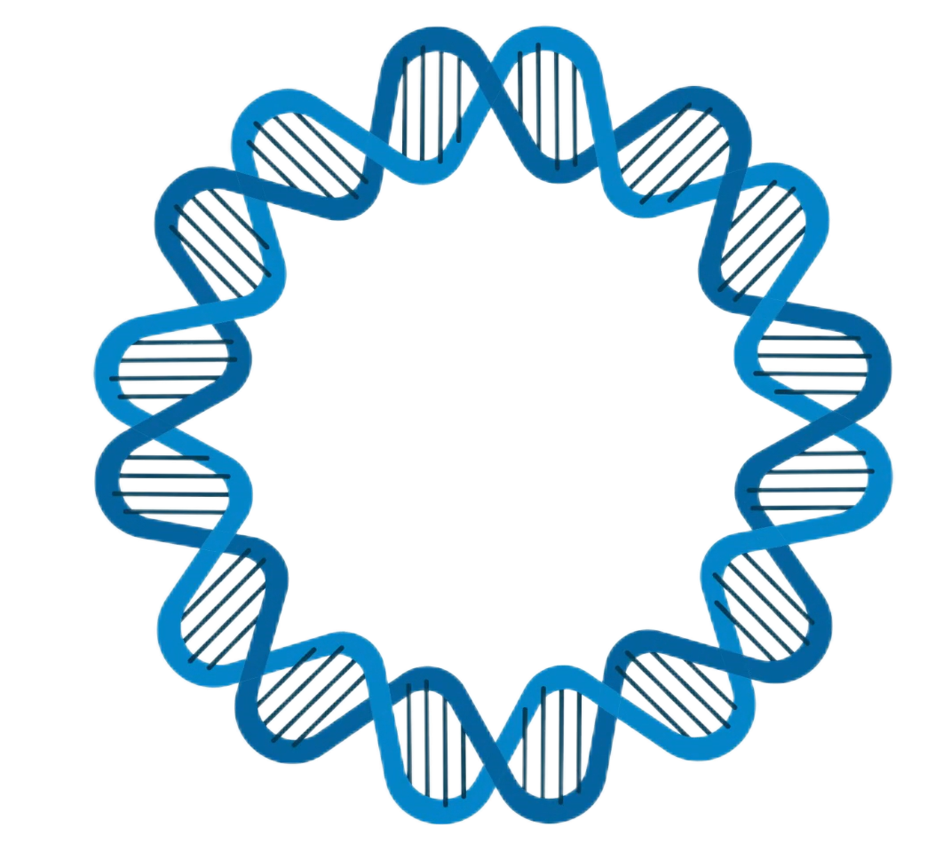 什么是质粒？ 图谱怎么看？质粒的分类｜质粒与载体的区别