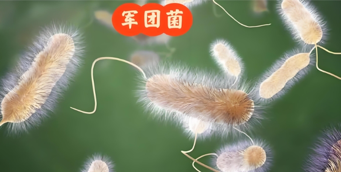 军团菌肺炎抗体检测酶免试剂盒 