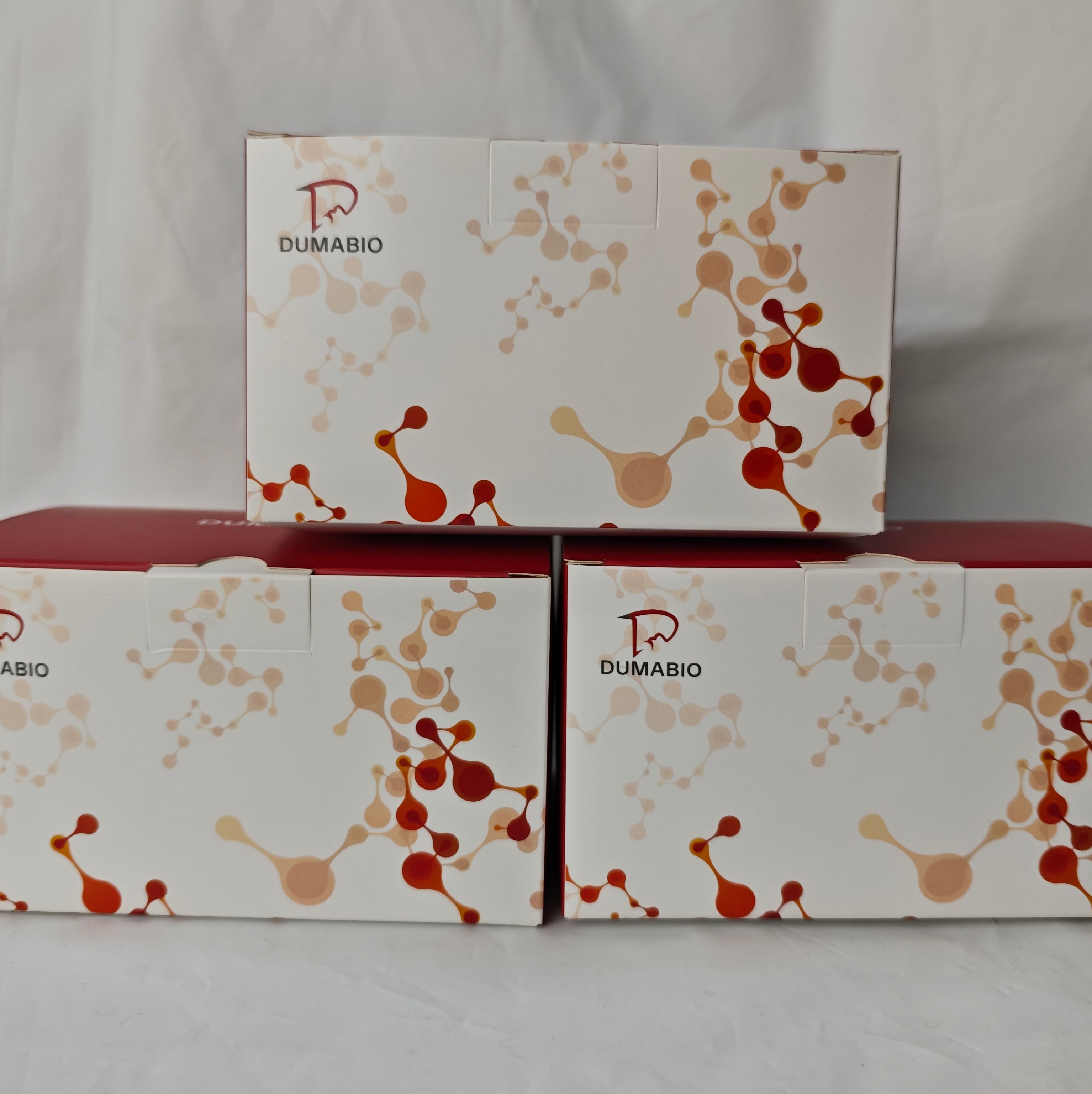 赖氨酸(lysine，Lys)含量测定试剂盒