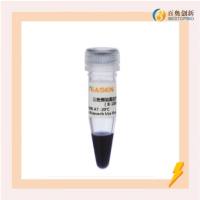 三色预染蛋白marker 分子量标准(10-180 kDa)