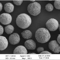 羟基磷灰石 骨科