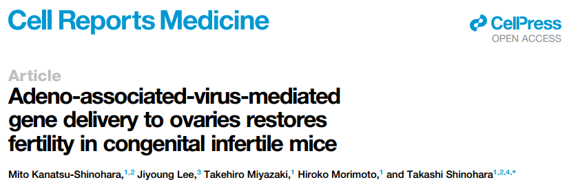 【AAV在卵巢中的应用】AAV介导的卵巢靶向基因递送能够恢复先天性不孕小鼠的生育能力