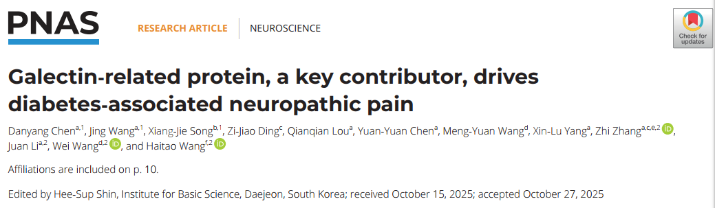 【客户文章】中国科学技术大学张智、李娟、王炜教授与安徽医科大学王海涛教授联合鉴定LGALSL为糖尿病神经病理性疼痛治疗新靶点