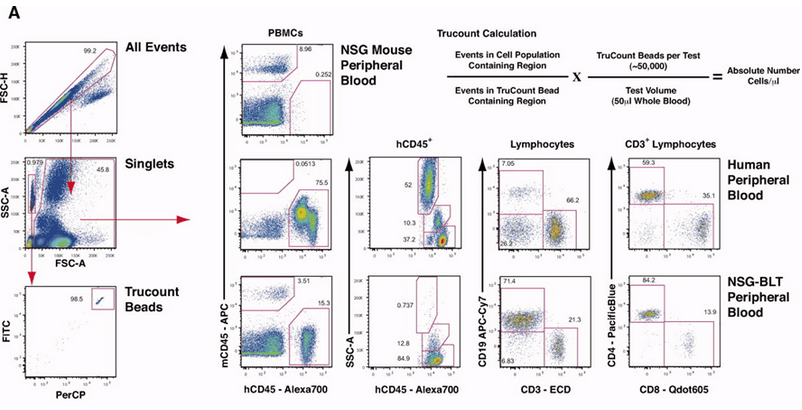 OMIP-012：9色Panel对人源化小鼠的精准解析与定量评估