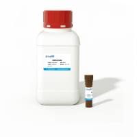 肌酸脒基水解酶(CR)