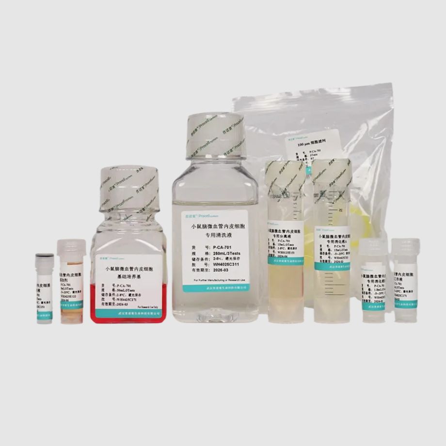 小鼠肝窦内皮细胞分离培养试剂盒