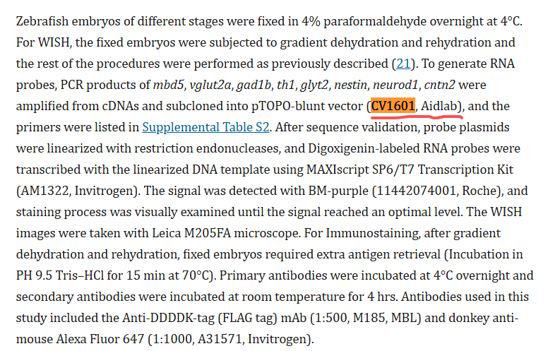 文献和实验图片1