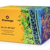 抗HiBiT磁珠和洗脱肽