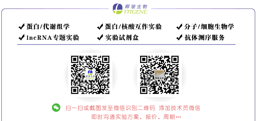 CRISPR单克隆敲除株_从sgRNA设计到敲除报告_辉骏生