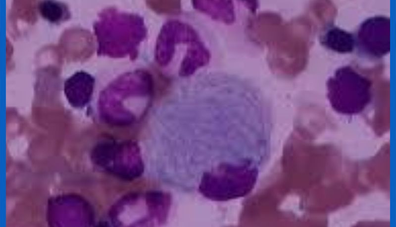 细胞污染会改变基因表达数据吗