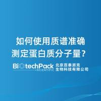 如何使用质谱准确测定蛋白质分子量？