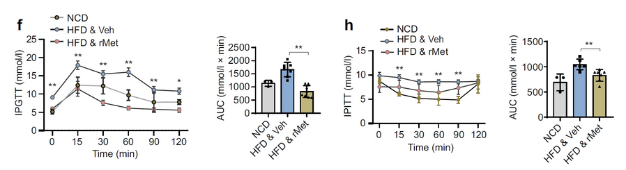 AtaGenix定制rMet蛋白助力贵州医科大学糖尿病β细胞研究