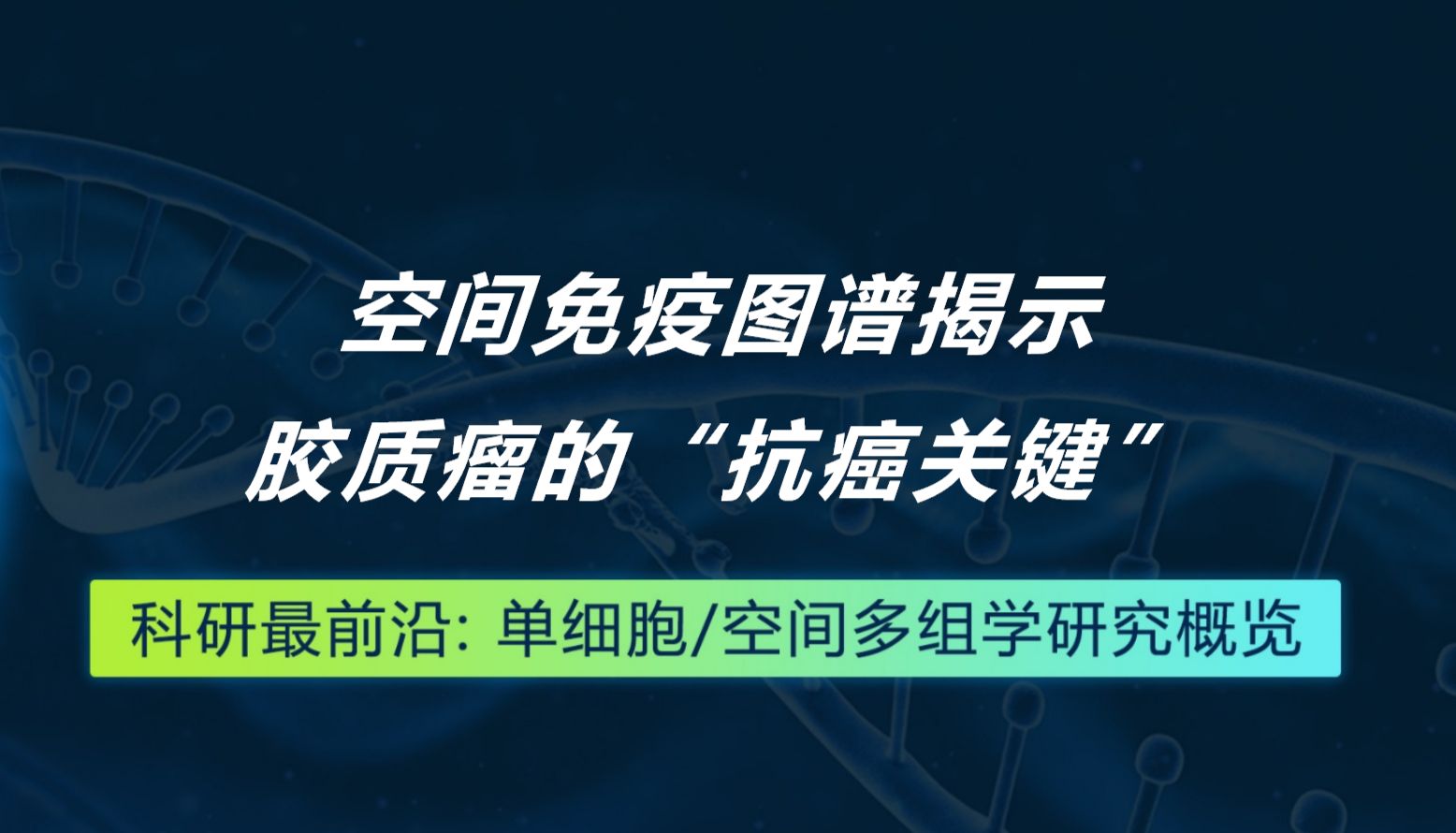 Immunity丨空间免疫图谱揭示胶质瘤的“抗癌关键”
