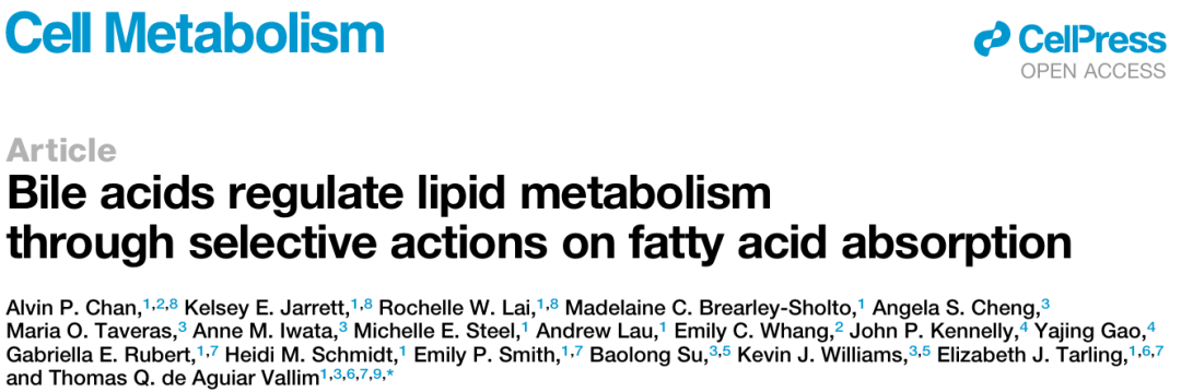 Cell Metabolism：胆汁酸精准调控脂肪吸收，解锁代谢疾病治疗新潜力