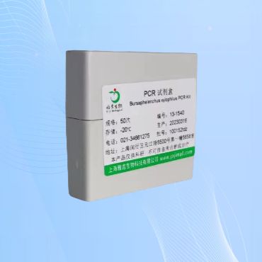 人疱疹病毒5型原人巨细胞病毒病毒PCR试剂盒説明书