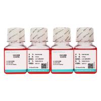 Duck Embryo Hepatic Mesenchymal Stem Cell Complete Medium