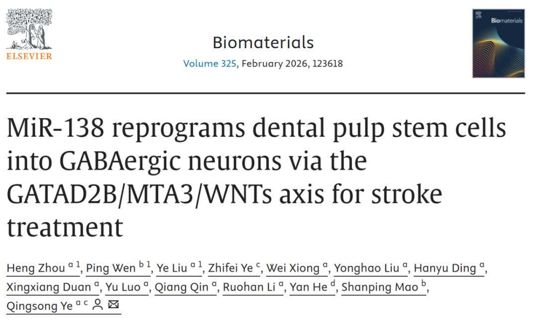精准捕捉神经修复微弱电信号，MED64助力武汉大学等团队突破中风治疗瓶颈