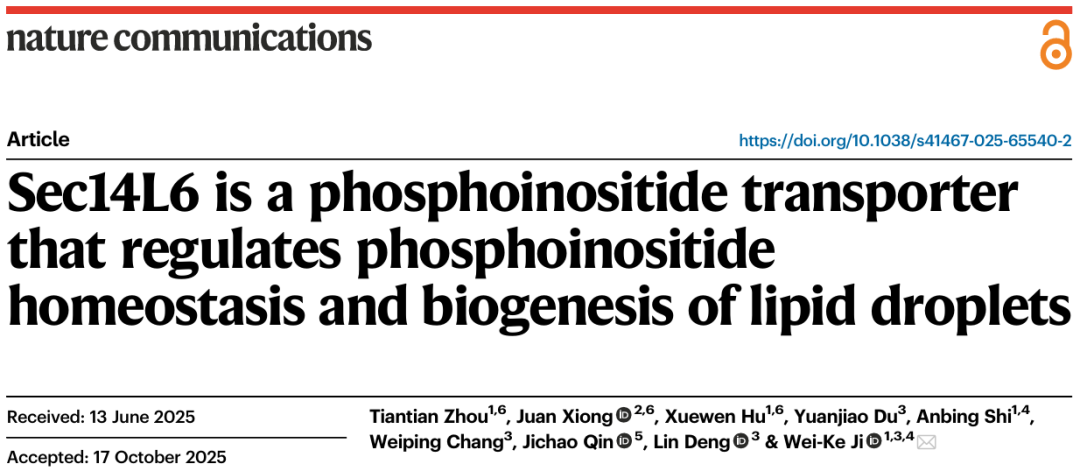 Nature Communications：季维克团队揭示磷酸磷脂酰肌醇稳态及脂滴生物合成的关键机制