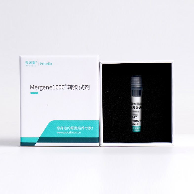 Mergene1000® Vero细胞专用mRNA转染试剂