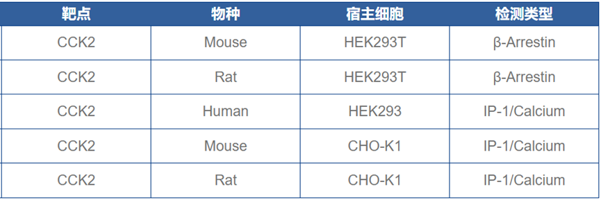 破解疼痛与癌症的关联密码：CCK2受体探秘