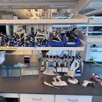 大量移液器（待清点）