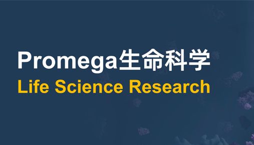 前沿技术 | 替代动物模型：类器官“测不准”有多大影响？