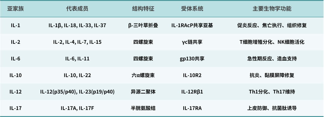 细胞焦亡系列【4】促炎因子IL家族