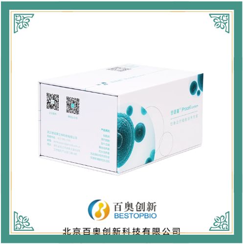 普诺赛VERO C1008 [Vero E6]（非洲绿猴肾细胞）