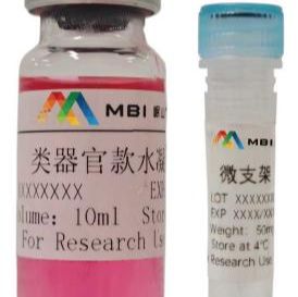 肿瘤类器官水凝胶微支架基质及复合培养体系