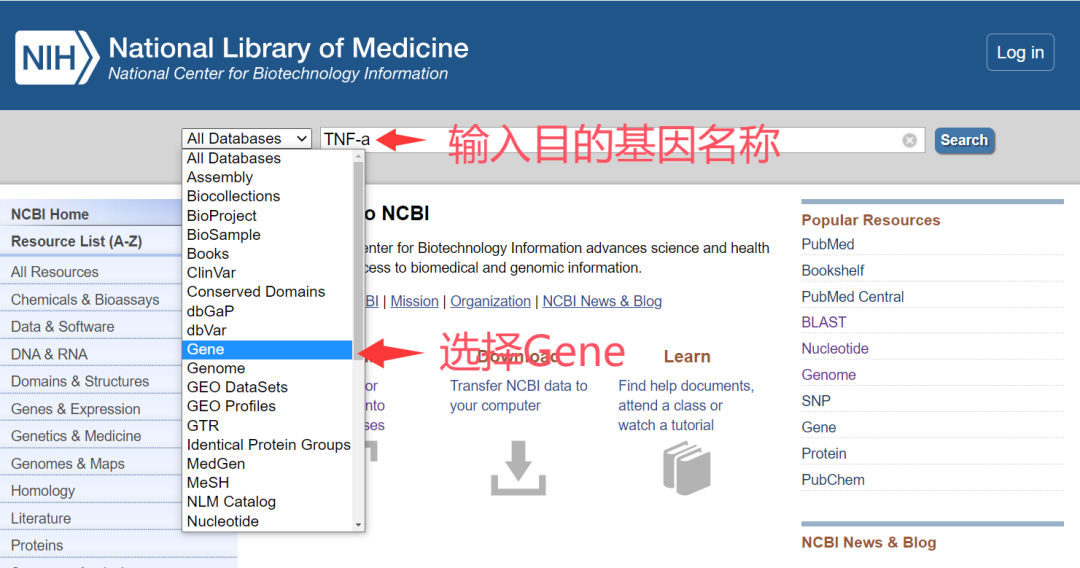 技术分享丨PCR引物设计方法详解