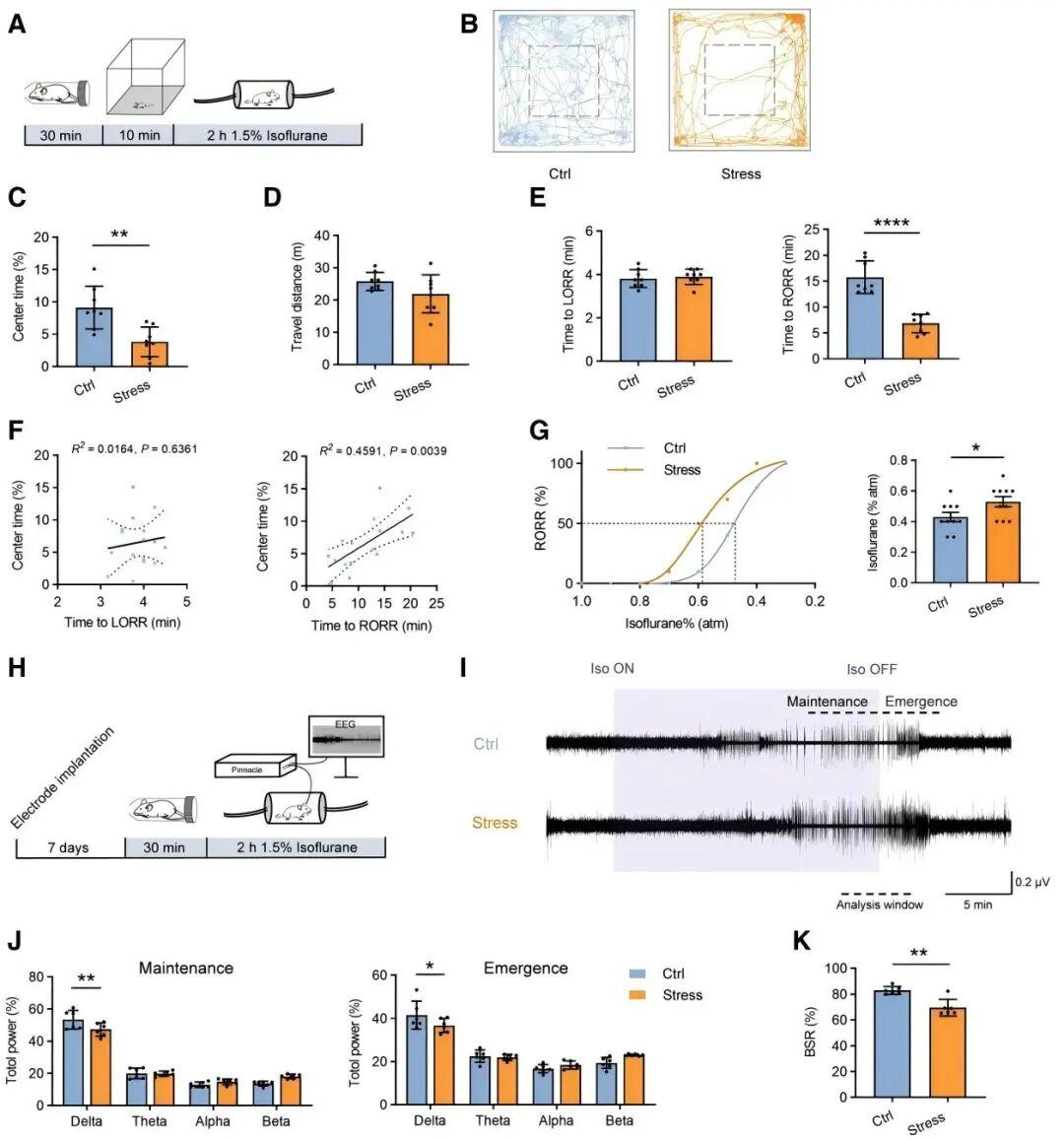 【客户文章】徐州医科大学吴坤伟/曹君利教授团队揭示急性应激调控麻醉苏醒的神经环路和受体机制