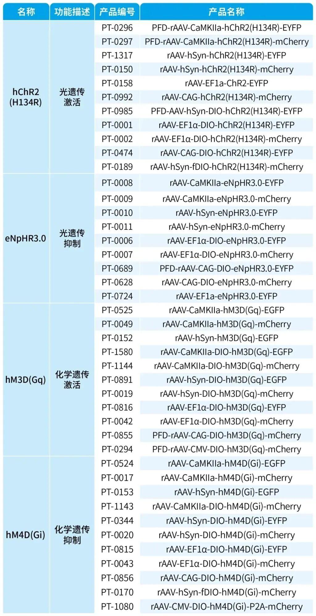 【客户文章】徐州医科大学吴坤伟/曹君利教授团队揭示急性应激调控麻醉苏醒的神经环路和受体机制