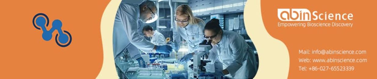 OMIP-013：13色Panel解析人T细胞分化状态